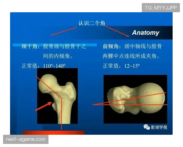 全面解析进攻重置规则的判定标准与含义